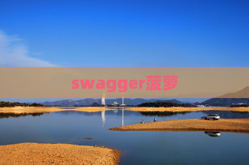 swagger菠萝